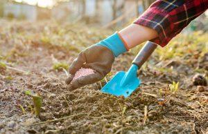 bloedmeel e1694520421525