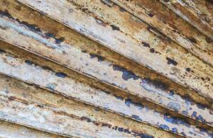 Verkleurde palmboom bladeren: oorzaken & oplossingen 8 zwarte vlekken e1694515403676