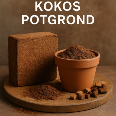 kokosgrond soorten kokosgrond soorten: coco peat, chips, vezels en blokken